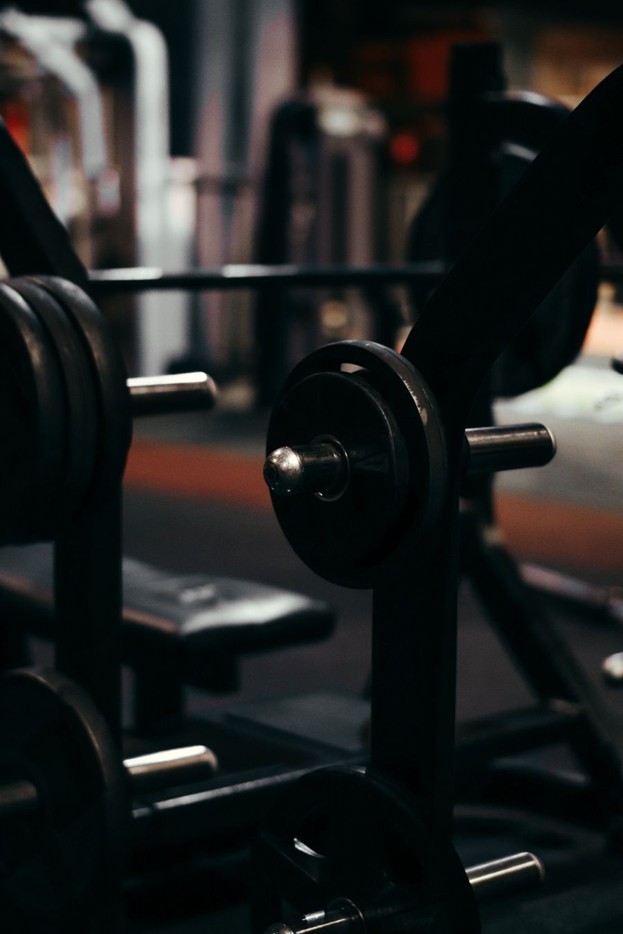 Dumbbells and plates organised on a rack in a tidy gym space